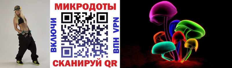 Псилоцибиновые грибы Psilocybe Пестово